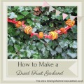 Fruit Garland and Decorations Instructions